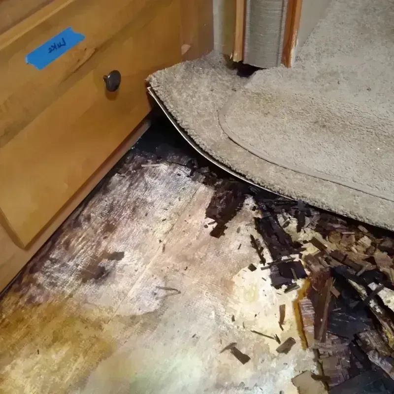 Wood Floor Water Damage in Clayton, GA